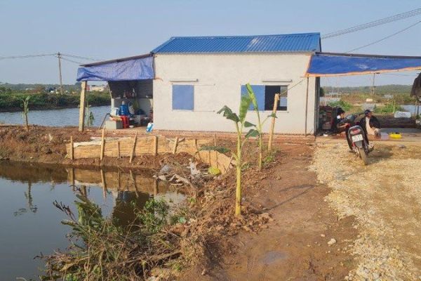 Hải Phòng: Cần gỡ 'nút thắt' trong hợp tác nuôi trồng thủy sản tại Tiên Lãng