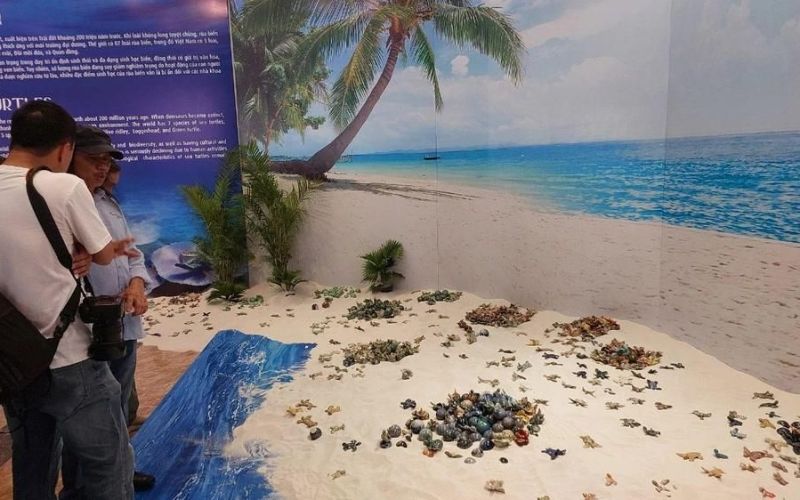 Ấn tượng 1.001 rùa gốm 'cất tiếng' kêu gọi bảo vệ môi trường biển