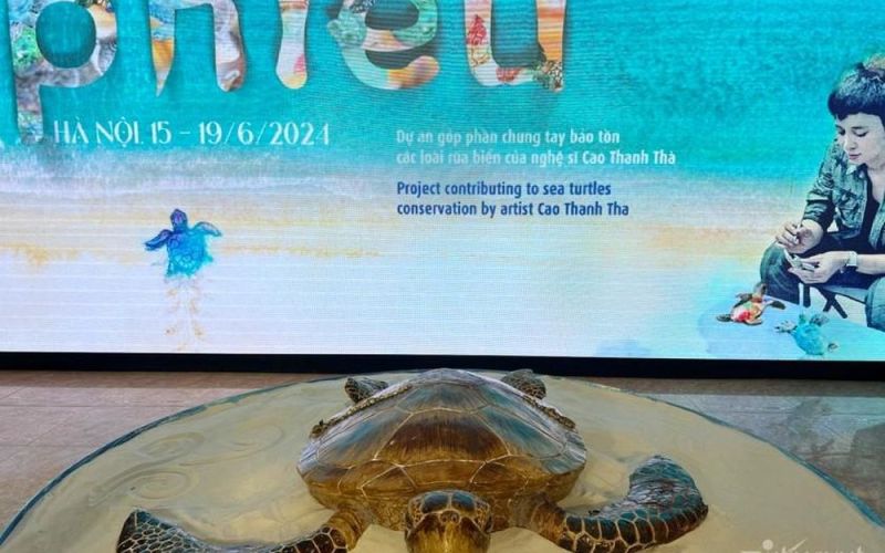 Độc đáo triển lãm 1001 rùa biển bằng gốm có một không hai