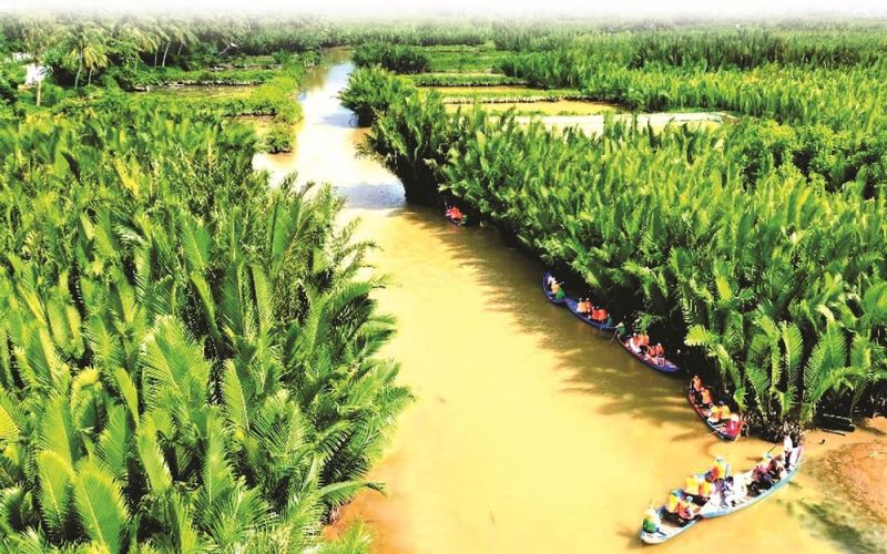 Khám phá rừng dừa nước Tịnh Khê