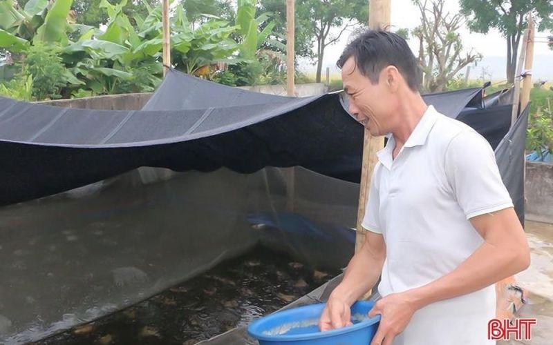 Nhiều mô hình kinh tế nông nghiệp cho hiệu quả cao ở xã ven đô Hà Tĩnh